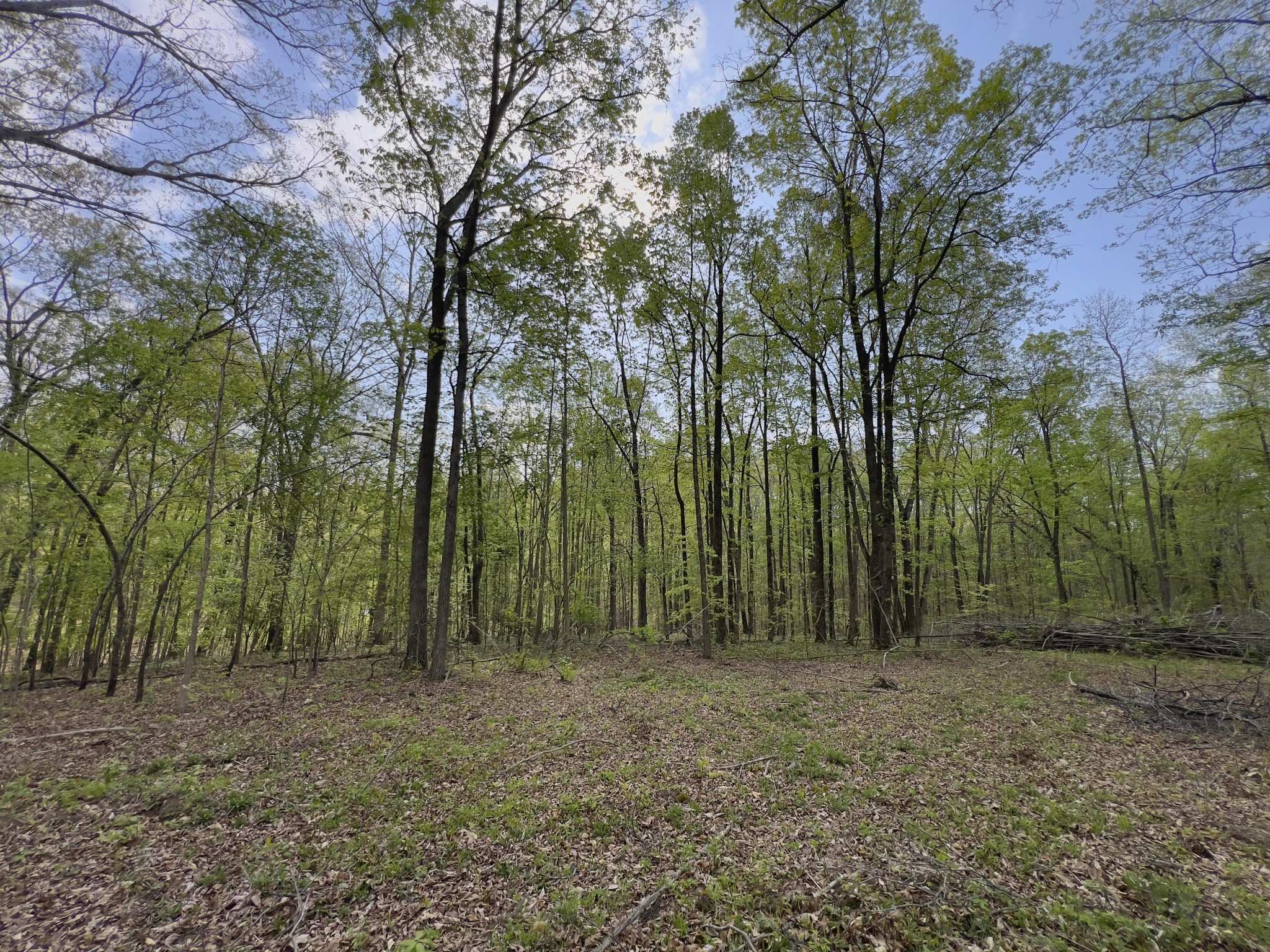 a view of outdoor space with trees