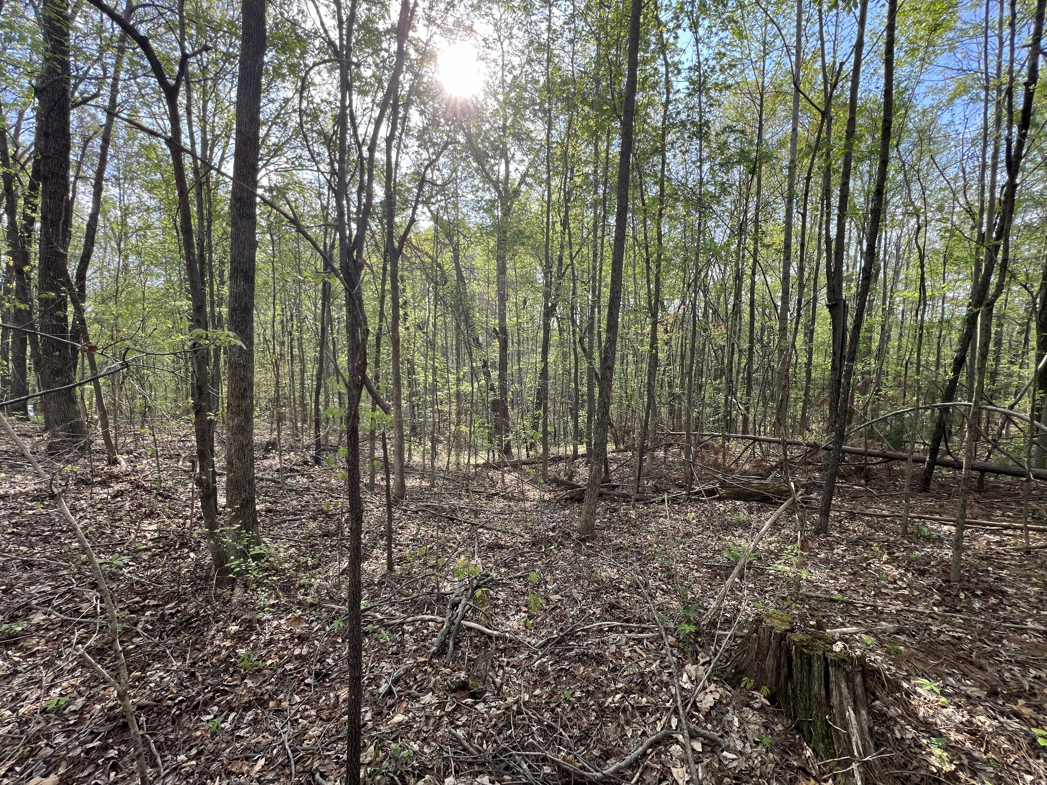 0 Valley Road Fairview, TN 37062 - Photo 18 of 61