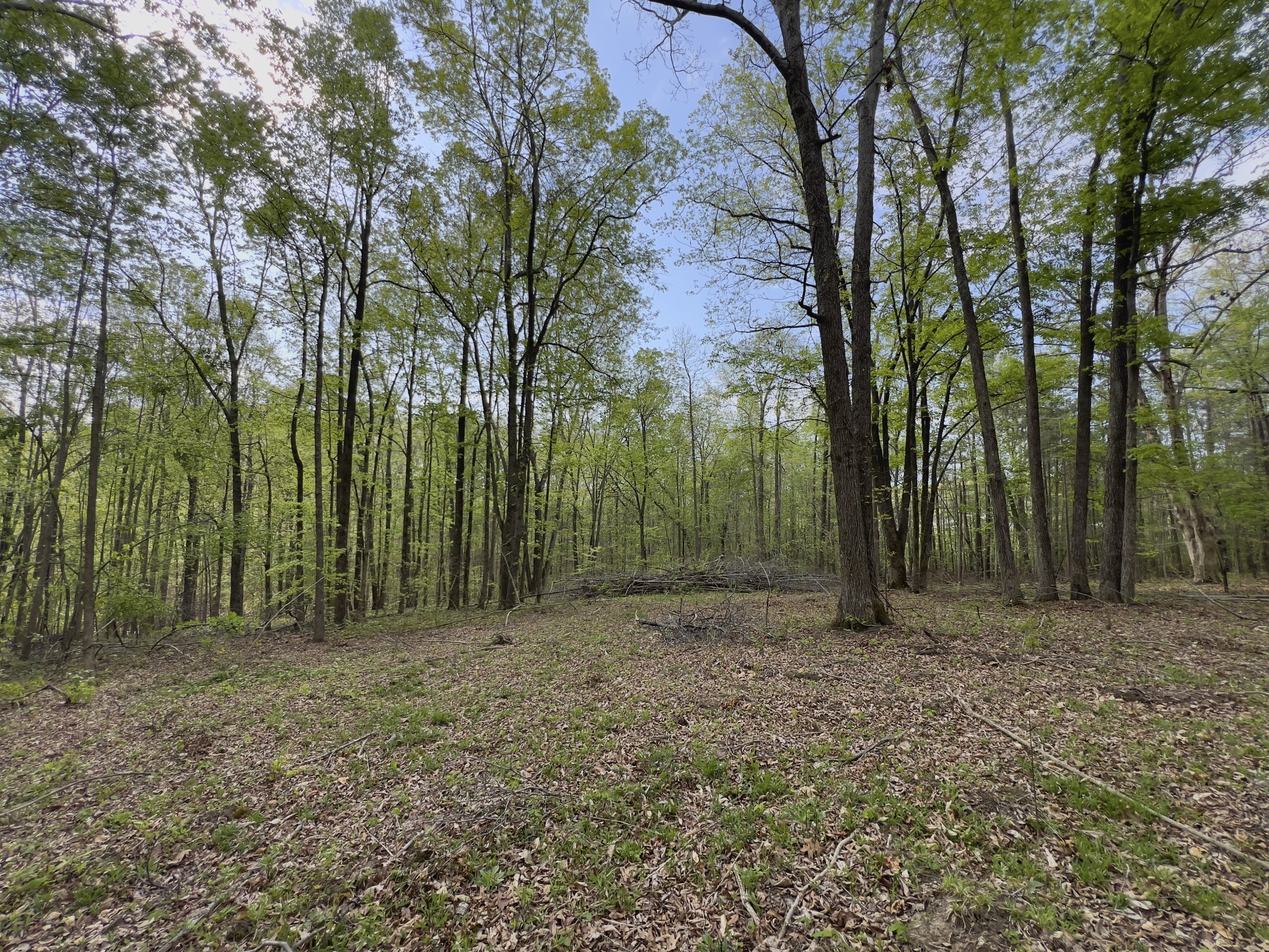 0 Valley Road Fairview, TN 37062 - Photo 2 of 61