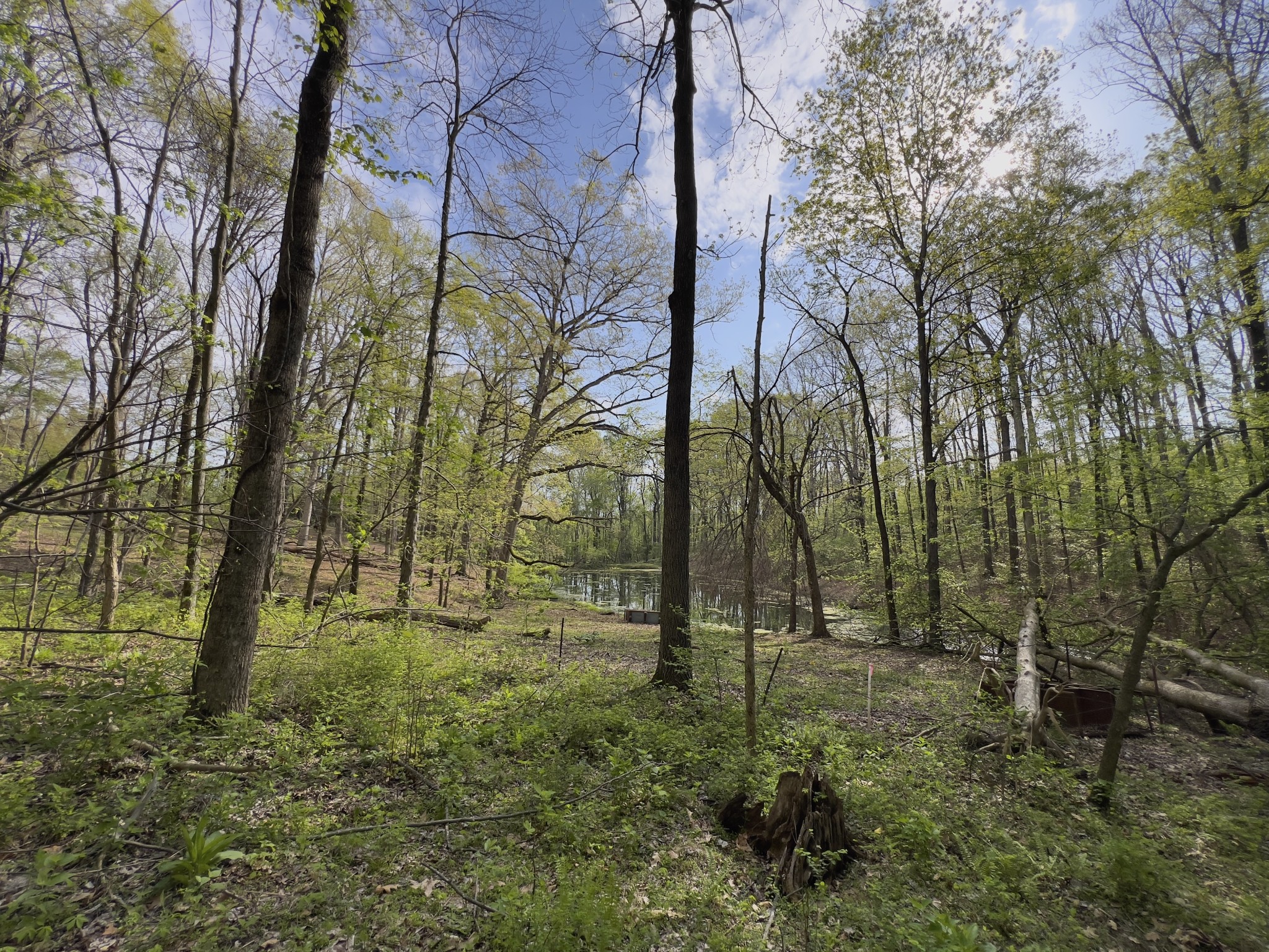 0 Valley Road Fairview, TN 37062 - Photo 22 of 61