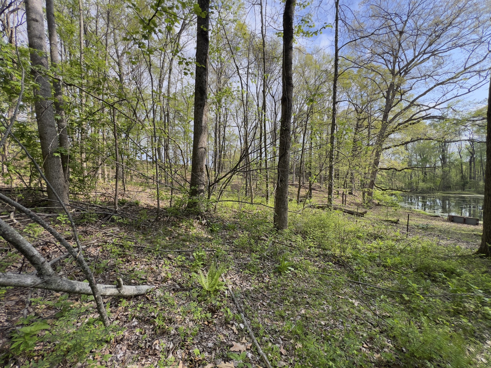 0 Valley Road Fairview, TN 37062 - Photo 23 of 61