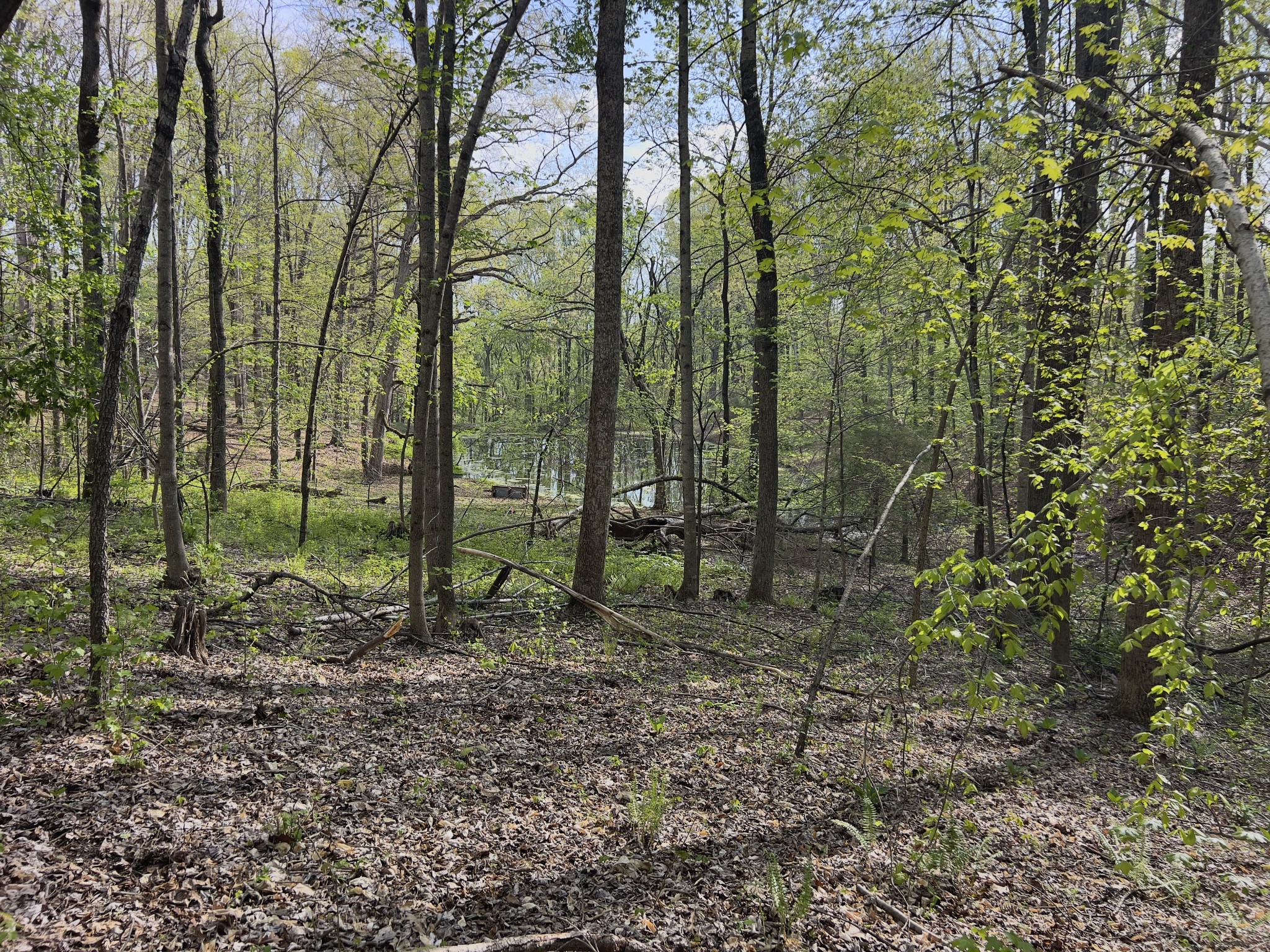0 Valley Road Fairview, TN 37062 - Photo 24 of 61