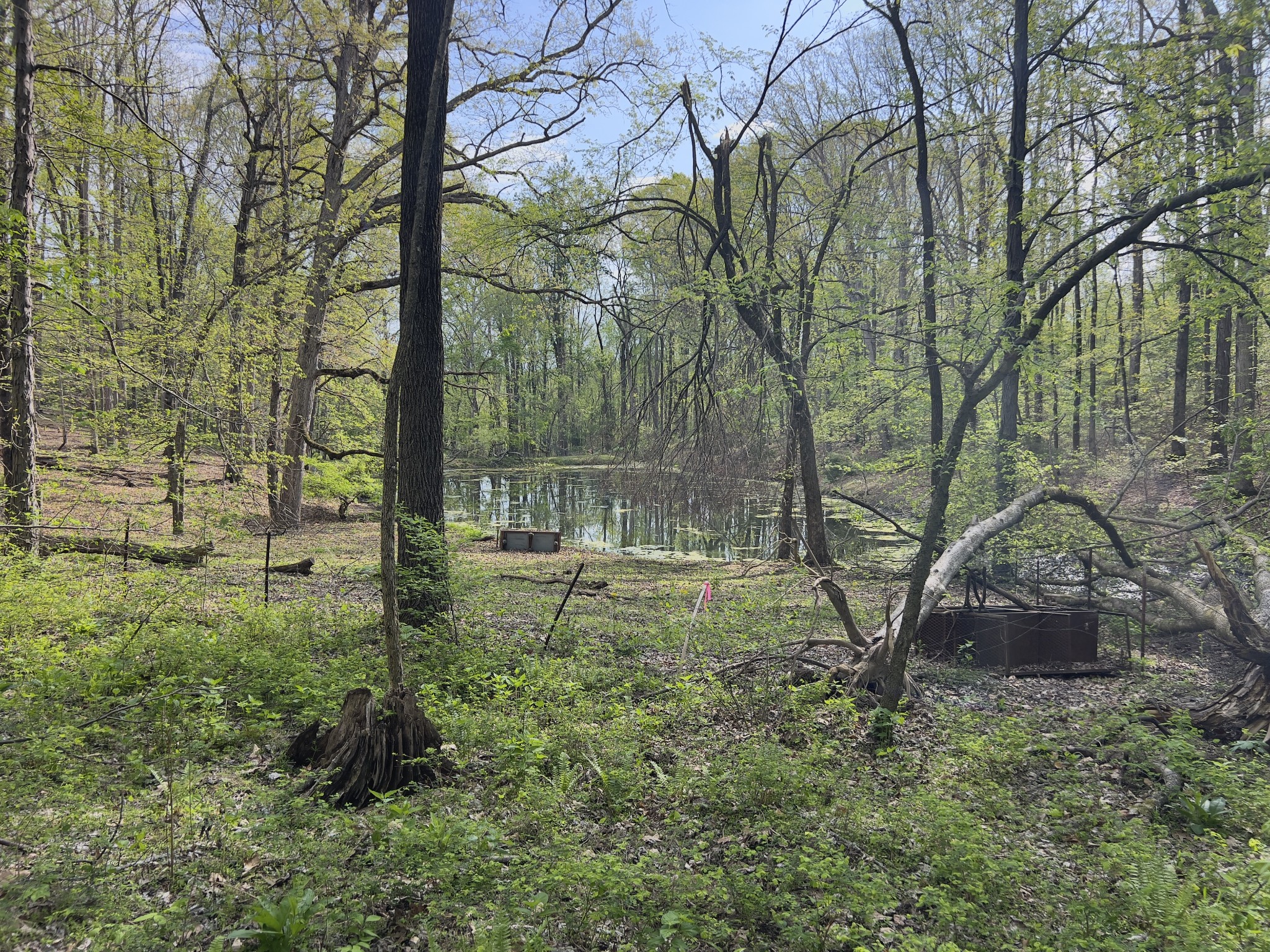 0 Valley Road Fairview, TN 37062 - Photo 25 of 61