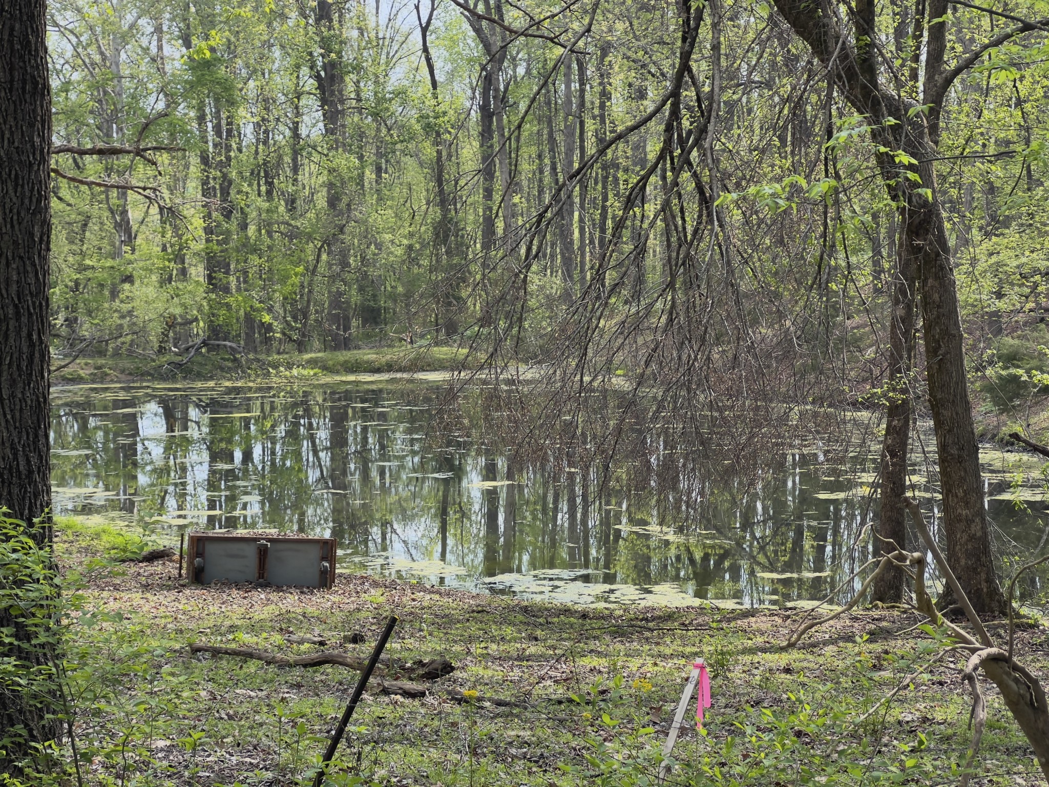 0 Valley Road Fairview, TN 37062 - Photo 26 of 61