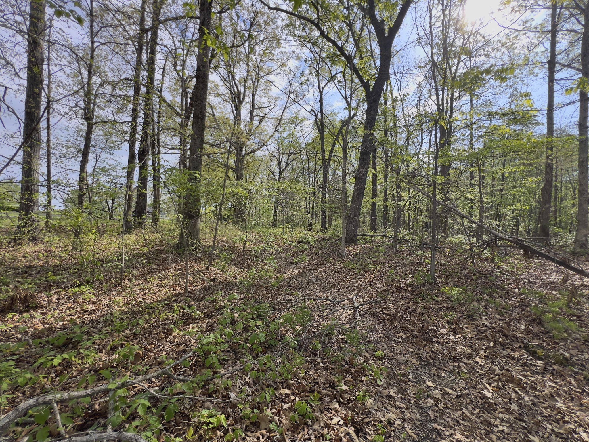 0 Valley Road Fairview, TN 37062 - Photo 28 of 61