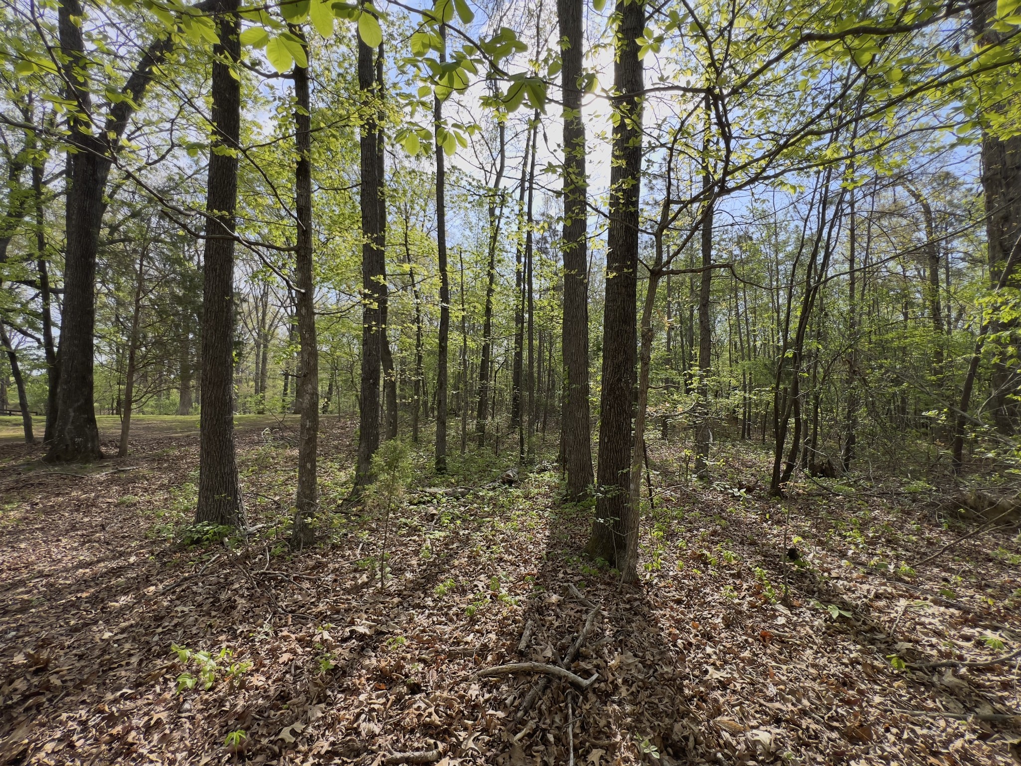 0 Valley Road Fairview, TN 37062 - Photo 30 of 61