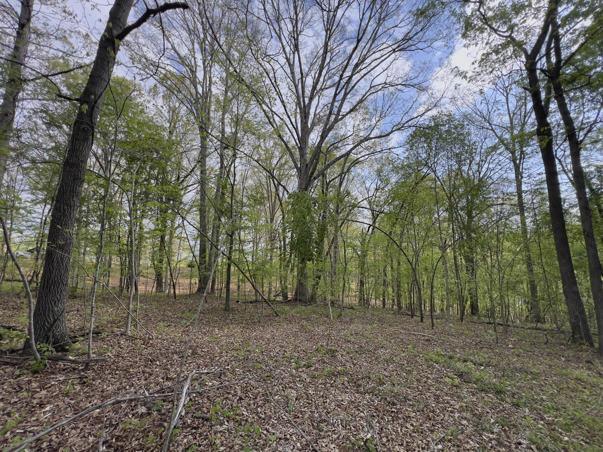 0 Valley Road Fairview, TN 37062 - Photo 3 of 61