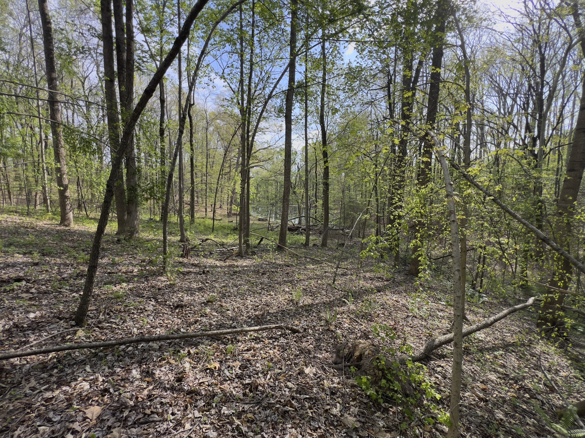 0 Valley Road Fairview, TN 37062 - Photo 31 of 61