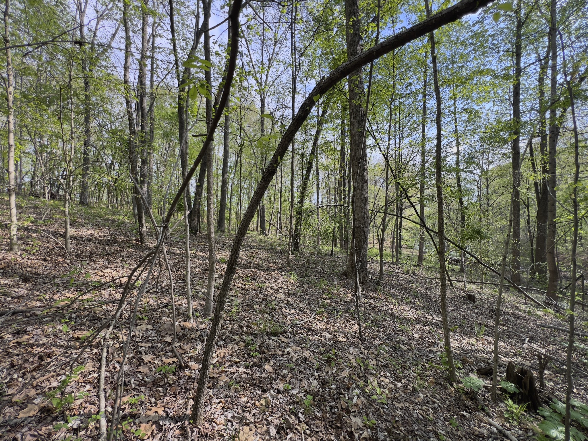 0 Valley Road Fairview, TN 37062 - Photo 33 of 61