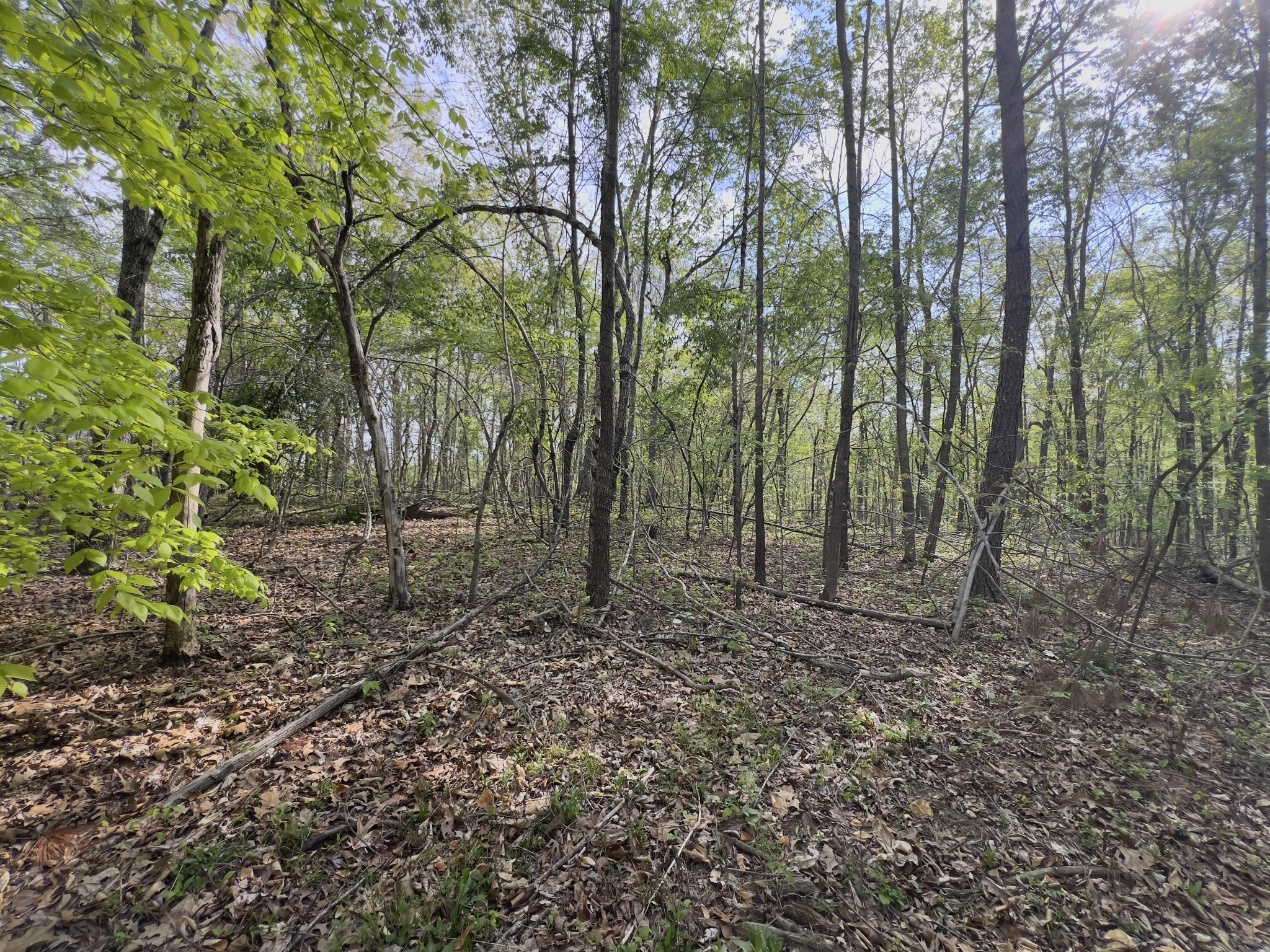 0 Valley Road Fairview, TN 37062 - Photo 36 of 61