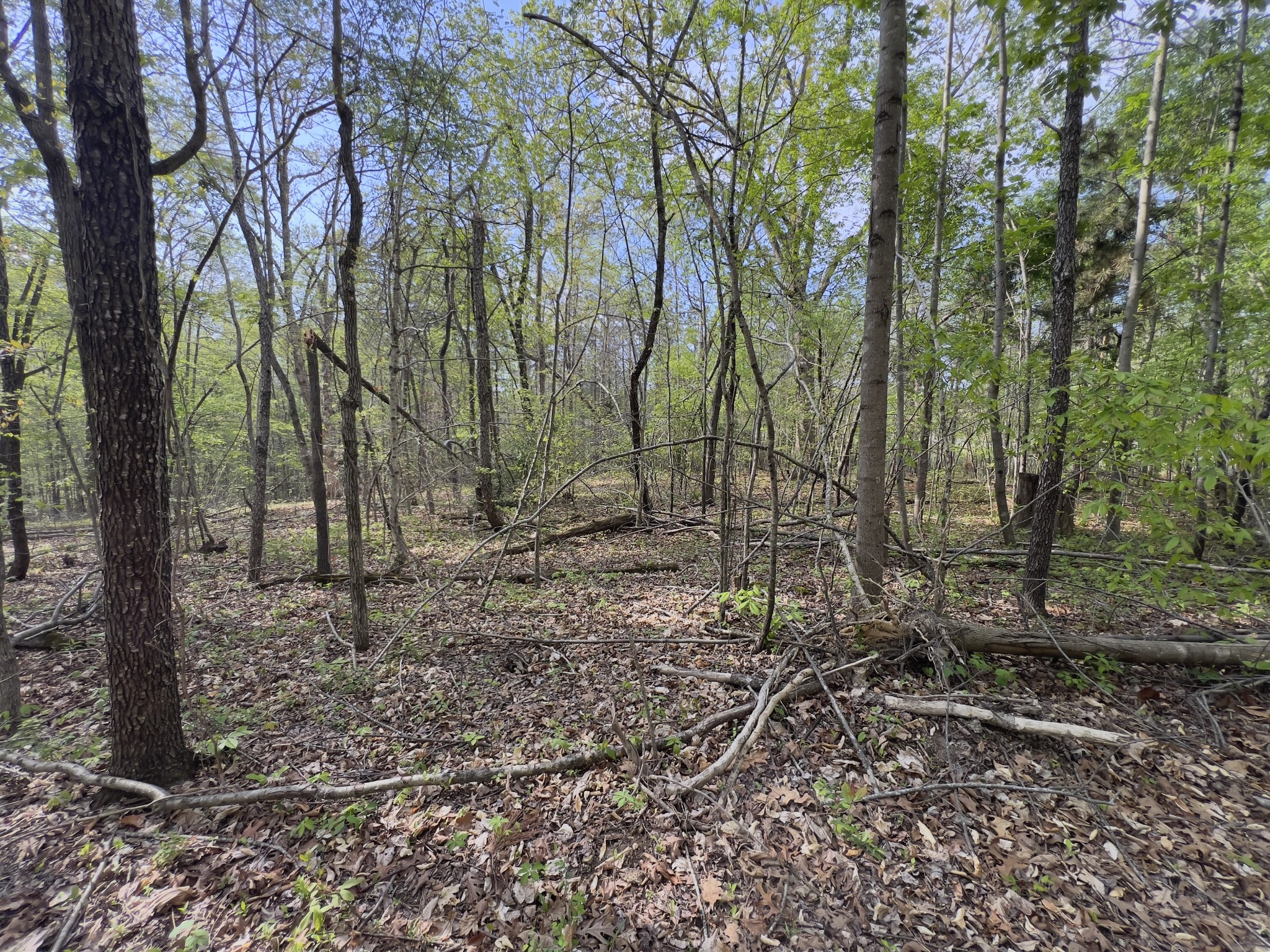 0 Valley Road Fairview, TN 37062 - Photo 37 of 61