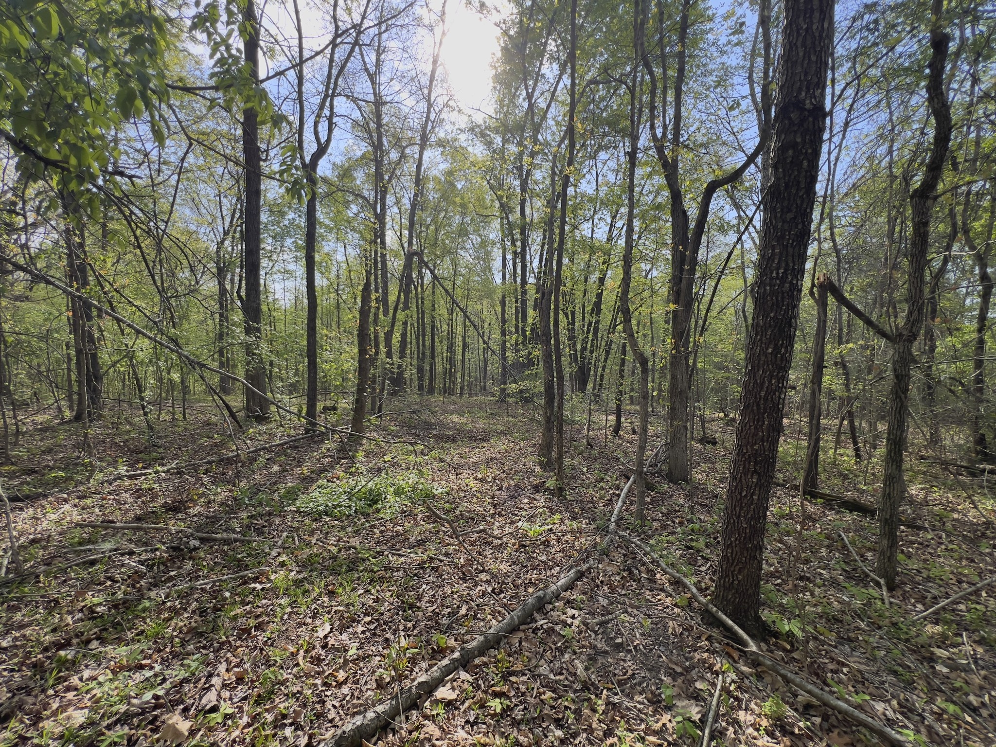 0 Valley Road Fairview, TN 37062 - Photo 38 of 61