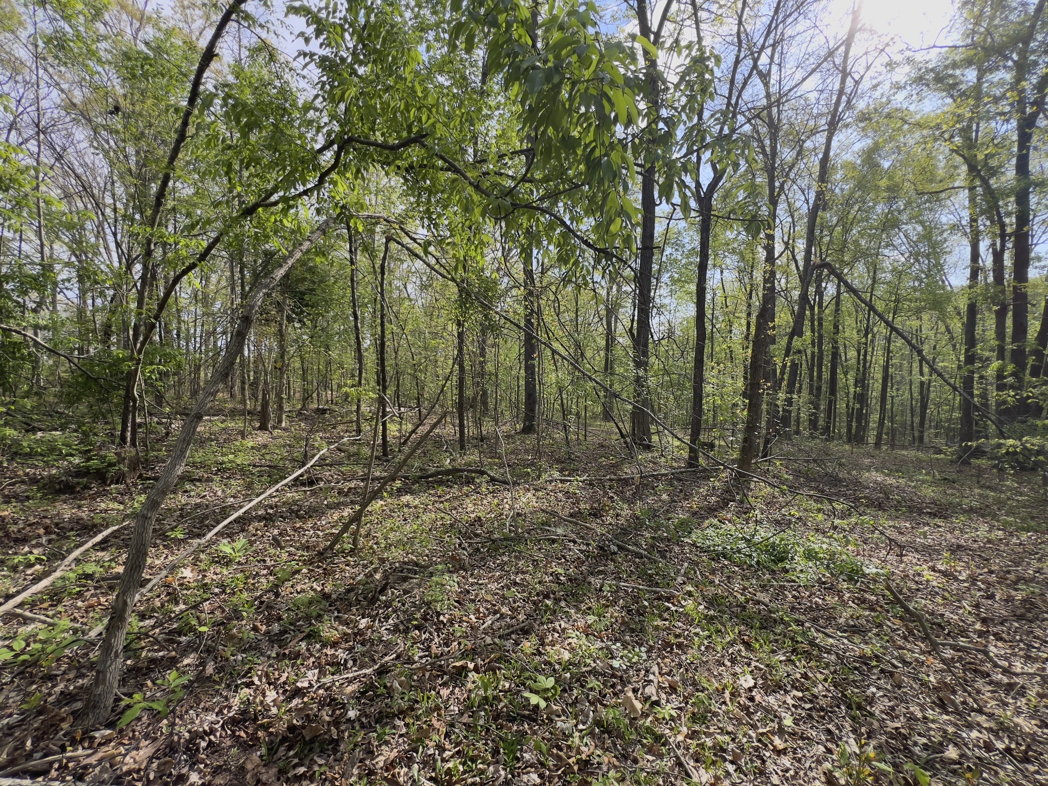 0 Valley Road Fairview, TN 37062 - Photo 39 of 61