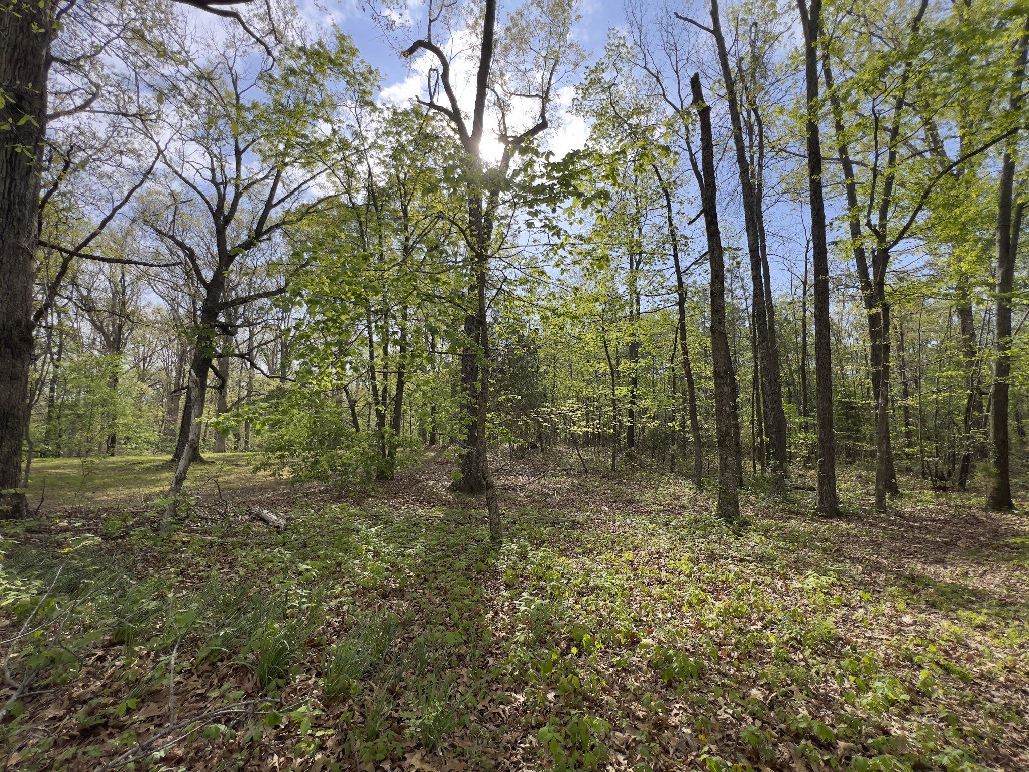 0 Valley Road Fairview, TN 37062 - Photo 41 of 61