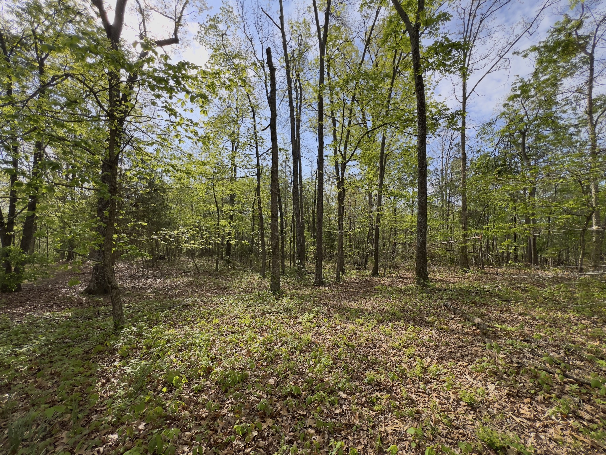 0 Valley Road Fairview, TN 37062 - Photo 42 of 61 a view of outdoor space and yard