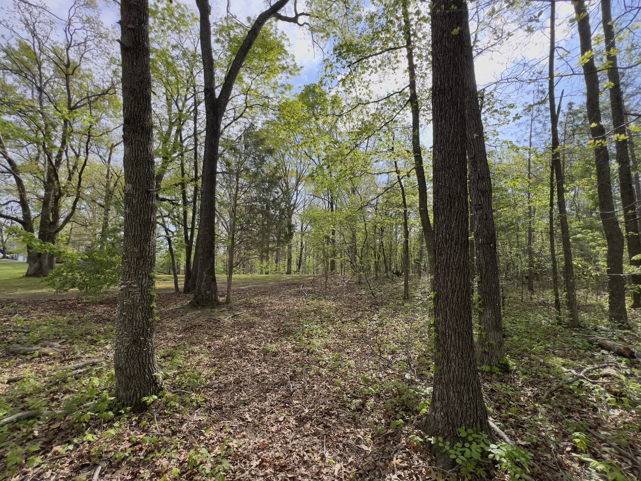 0 Valley Road Fairview, TN 37062 - Photo 43 of 61