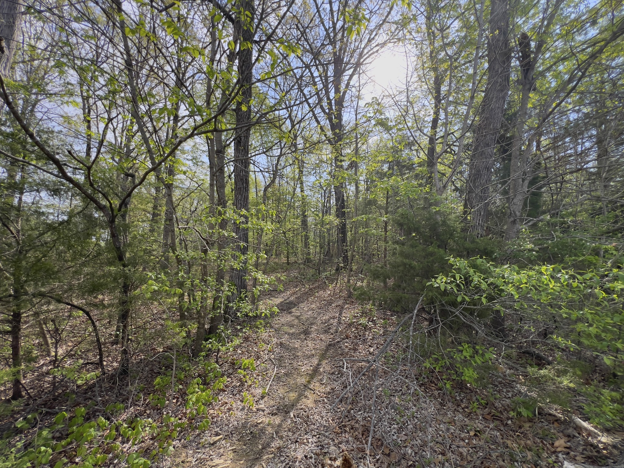 0 Valley Road Fairview, TN 37062 - Photo 44 of 61