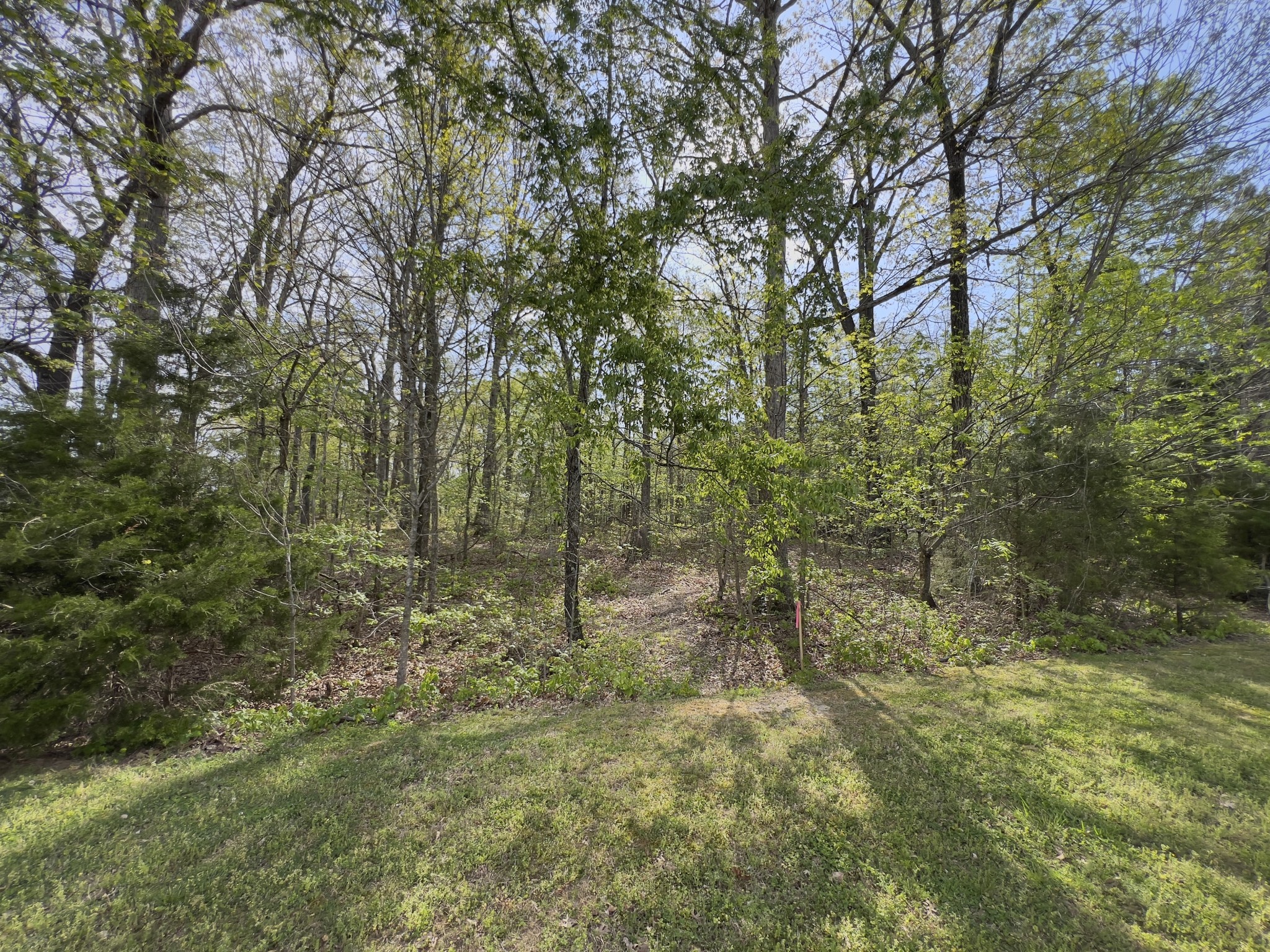0 Valley Road Fairview, TN 37062 - Photo 45 of 61
