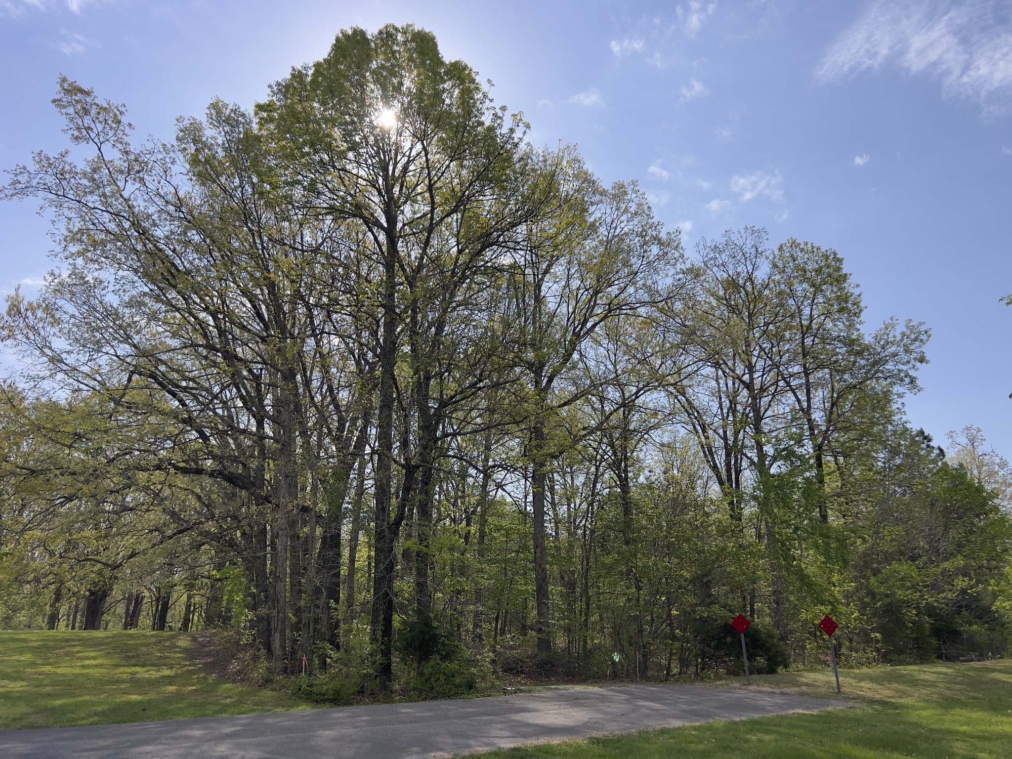 0 Valley Road Fairview, TN 37062 - Photo 7 of 61
