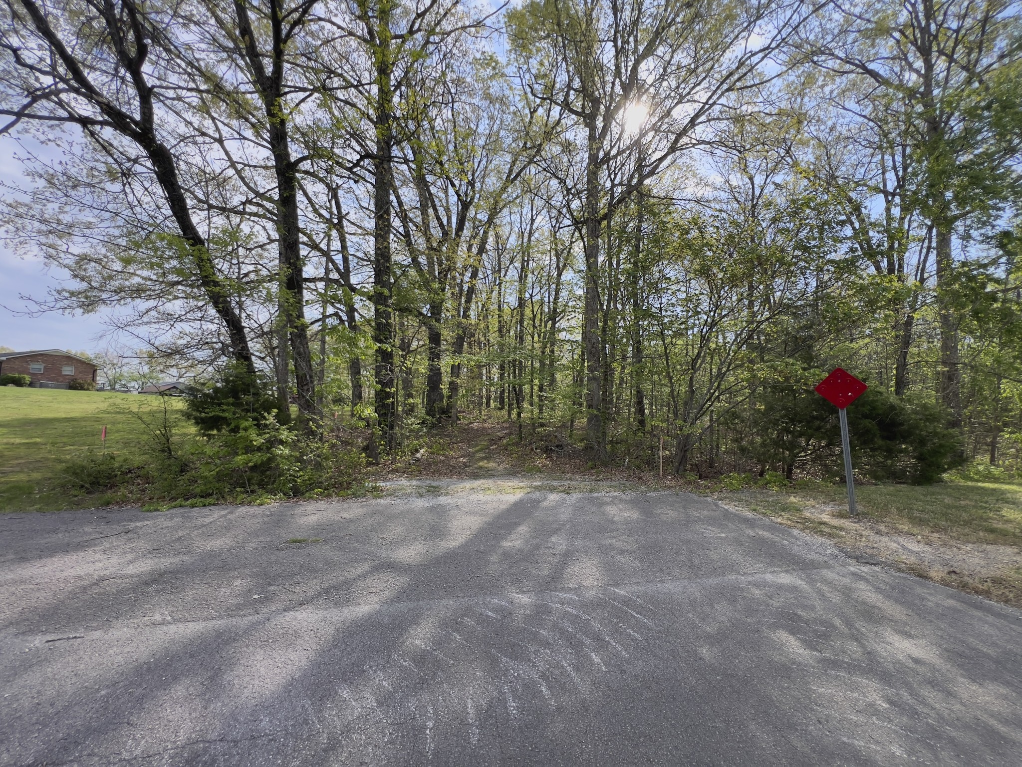 0 Valley Road Fairview, TN 37062 - Photo 8 of 61