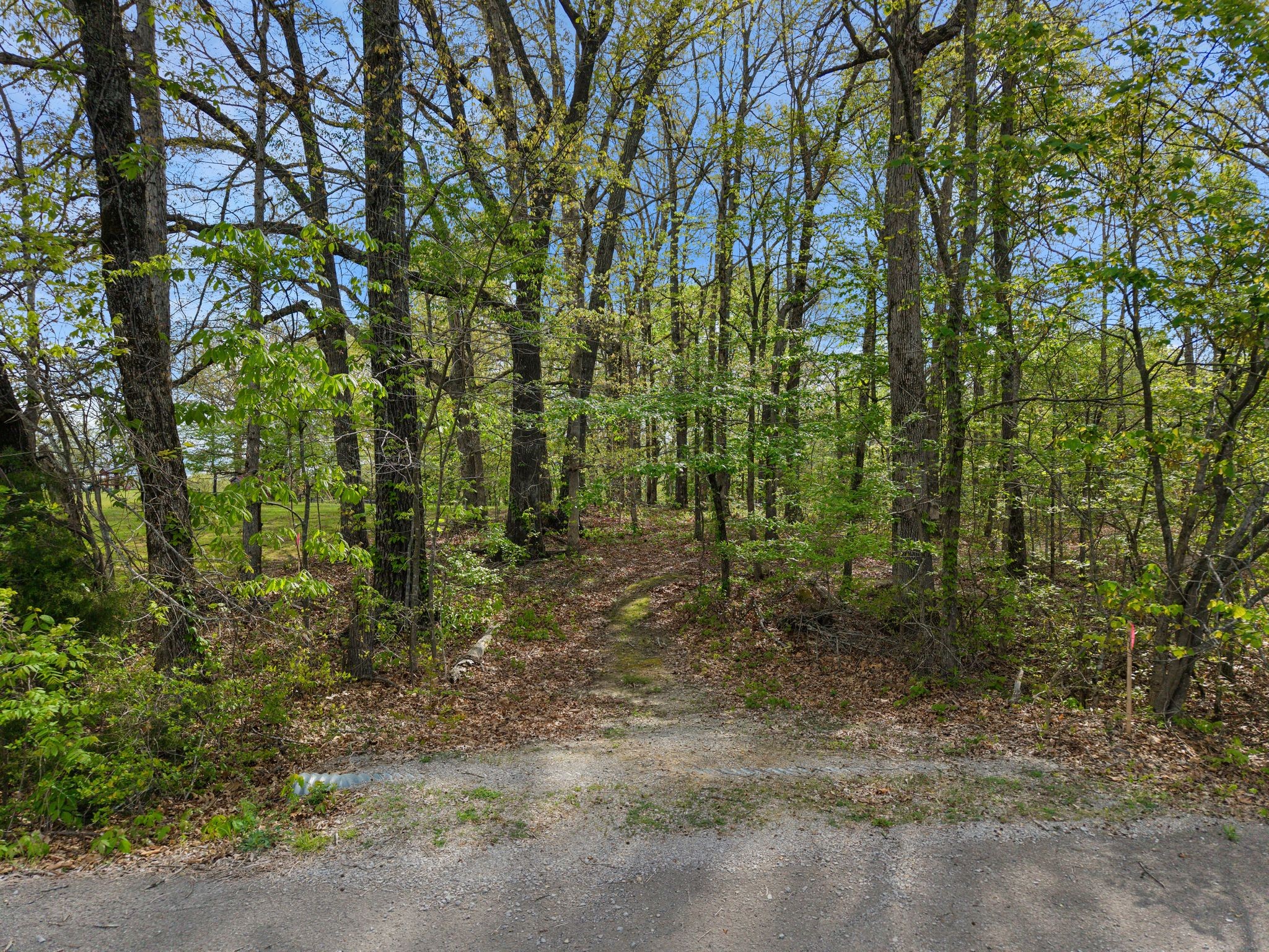 0 Valley Road Fairview, TN 37062 - Photo 9 of 61