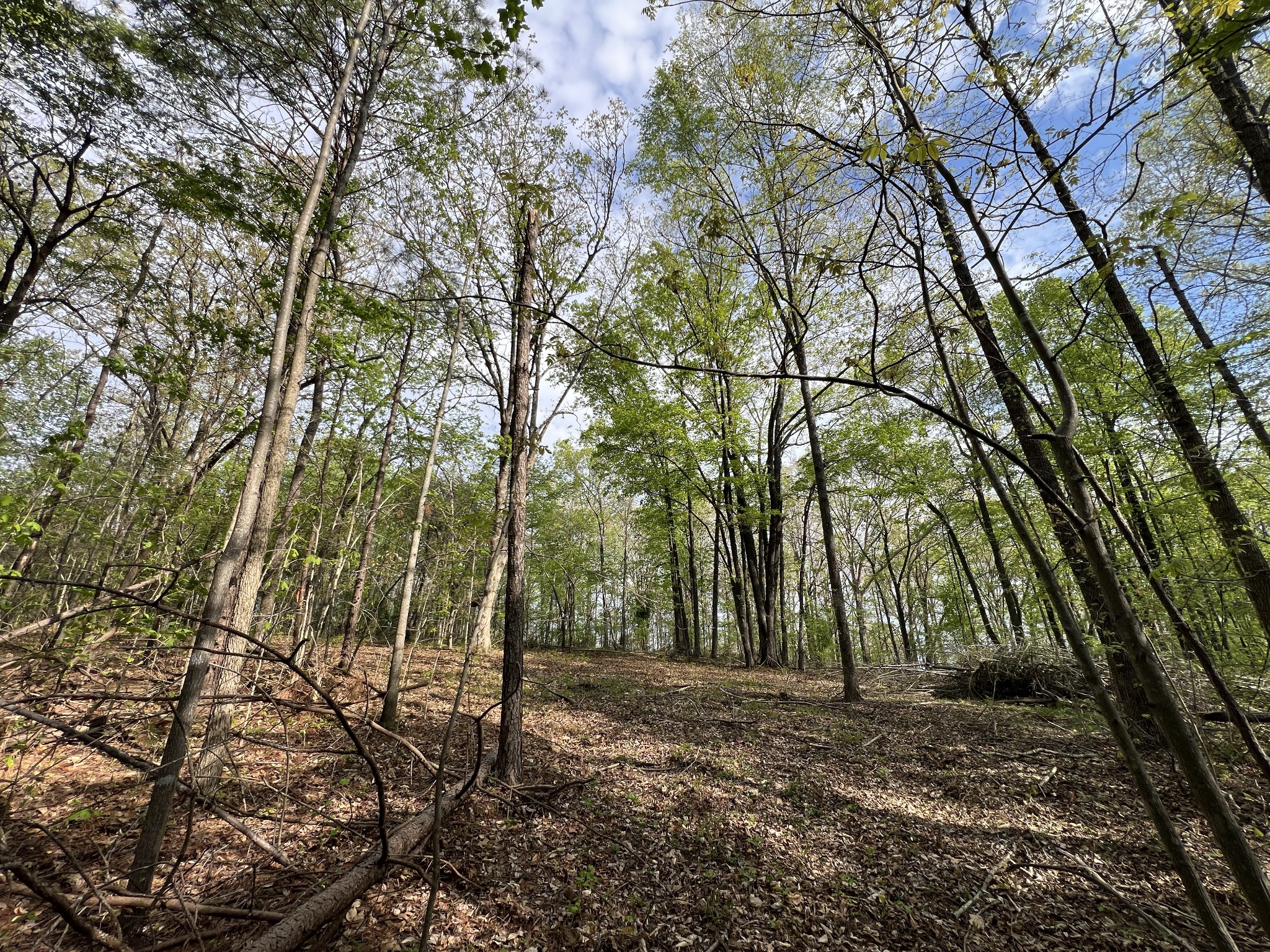 0 Valley Road Fairview, TN 37062 - Photo 10 of 61