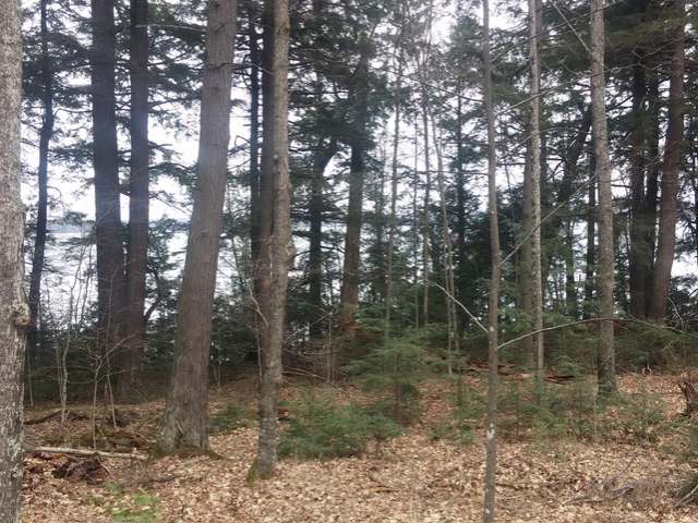 On On Knapp Road Three Lakes, WI 54562 - Photo 3 of 4 Gallery Image 3