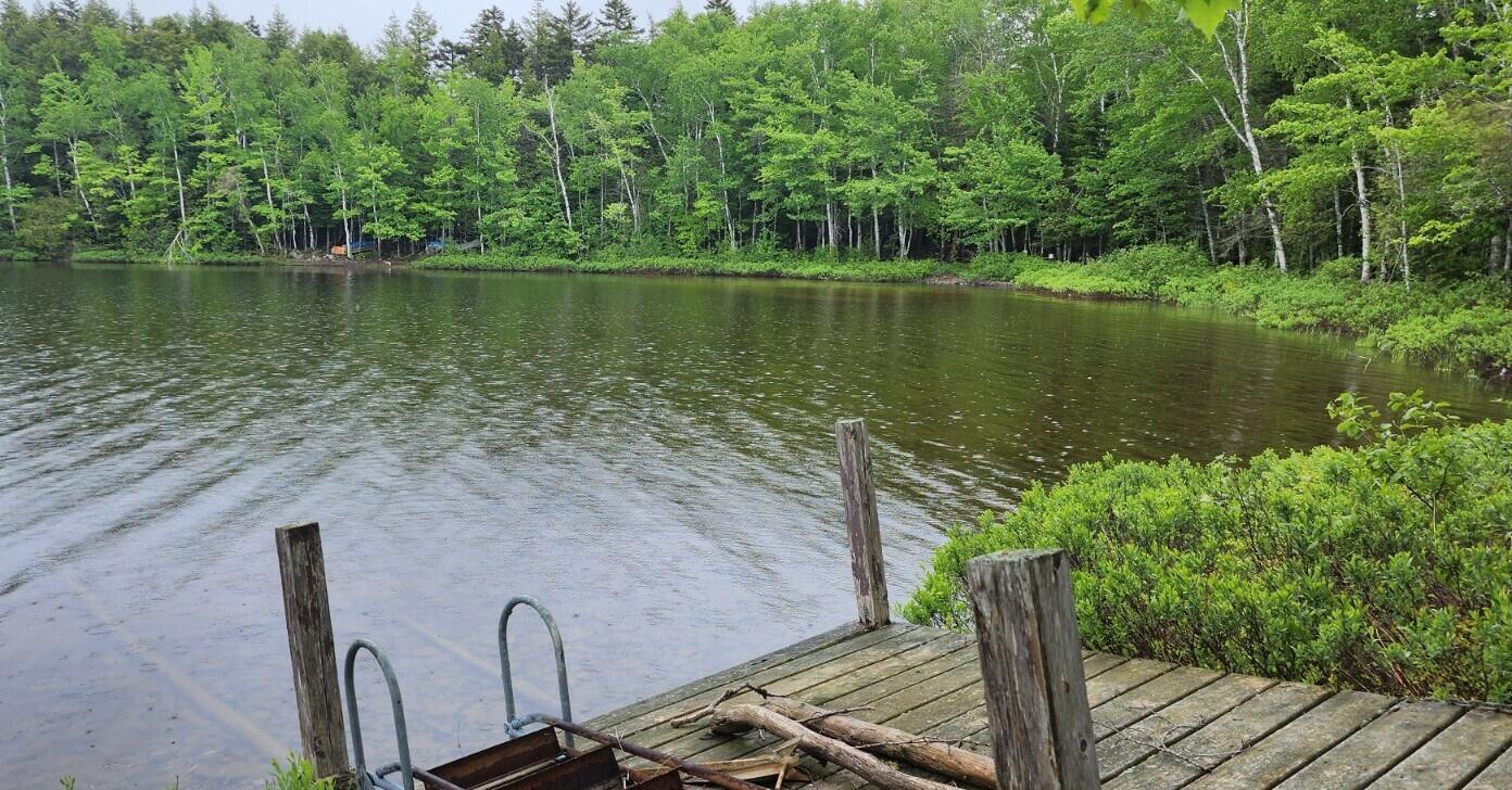 Lot 23 Black Point Road Danforth, ME 04424 - Photo 15 of 25 20230607_130257