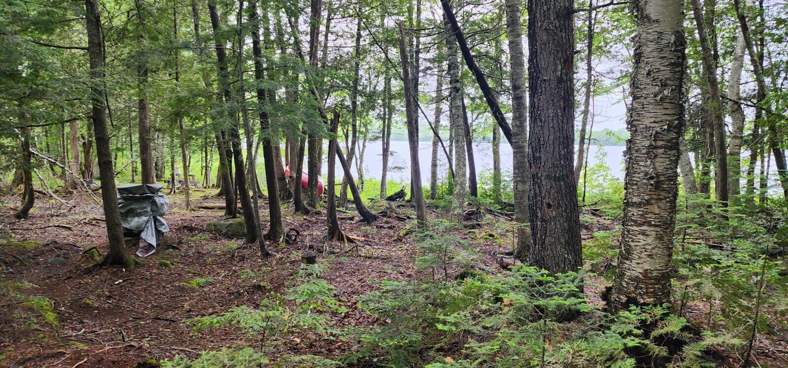 Lot 23 Black Point Road Danforth, ME 04424 - Photo 17 of 25 20230607_130759