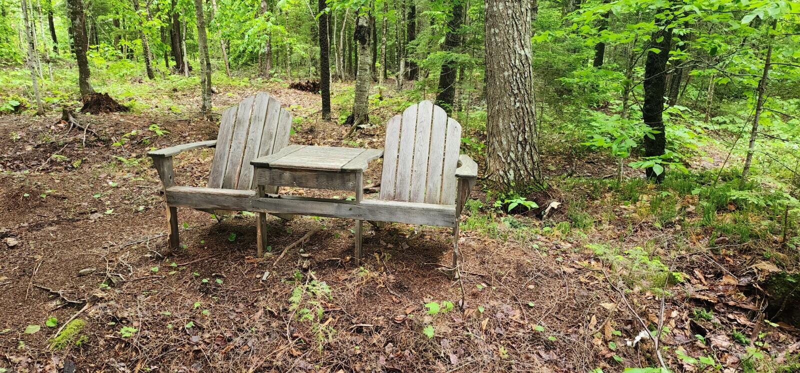 Lot 23 Black Point Road Danforth, ME 04424 - Photo 19 of 25 20230607_130842