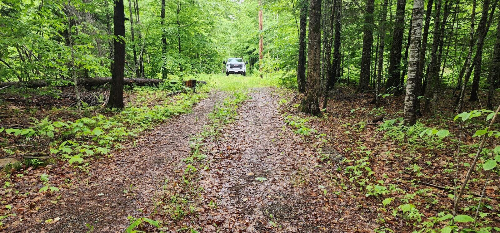 Lot 23 Black Point Road Danforth, ME 04424 - Photo 23 of 25 20230607_131101