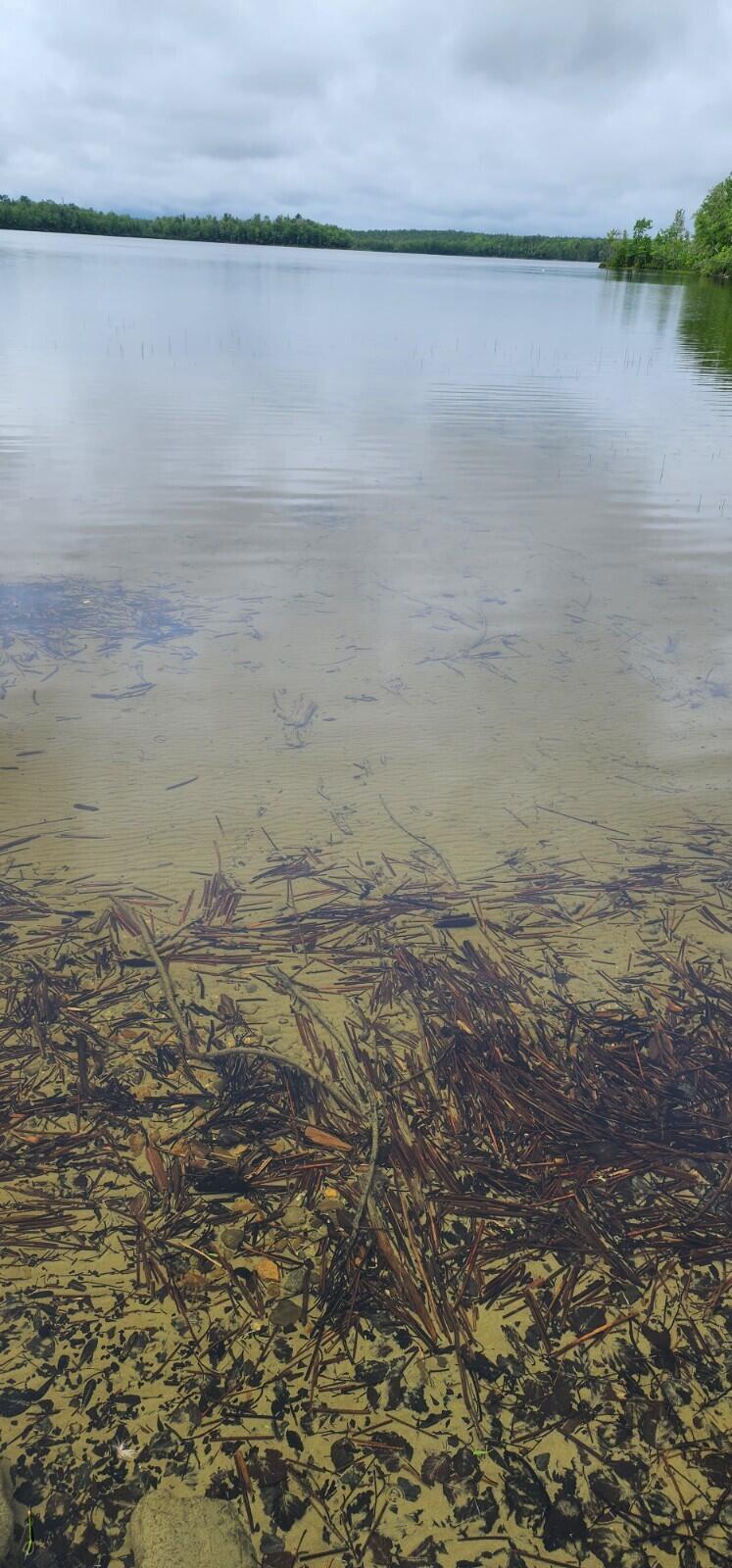 Lot 23 Black Point Road Danforth, ME 04424 - Photo 24 of 25 20230607_133655