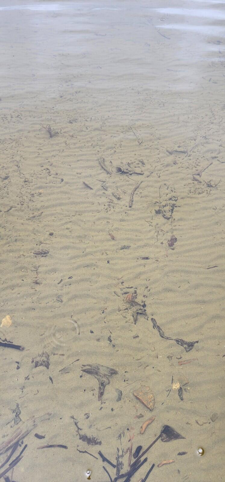 Lot 23 Black Point Road Danforth, ME 04424 - Photo 25 of 25 20230607_133957