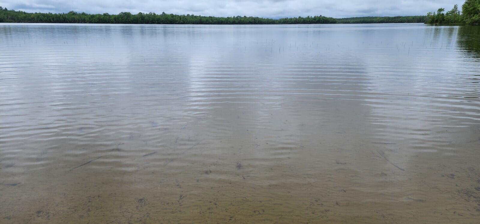 Lot 23 Black Point Road Danforth, ME 04424 - Photo 5 of 25 20230607_134003