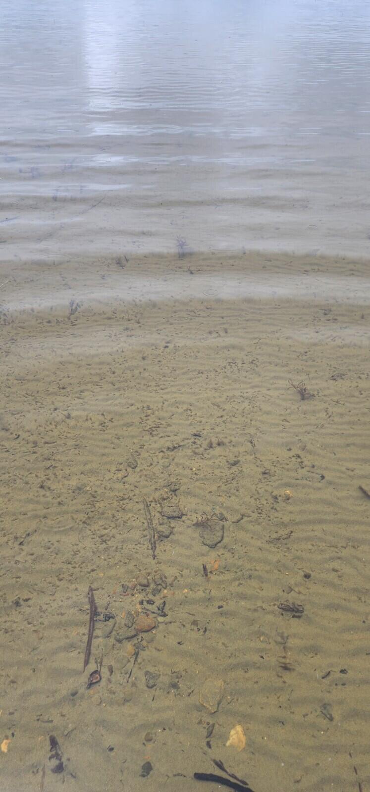 Lot 23 Black Point Road Danforth, ME 04424 - Photo 7 of 25 20230607_133955