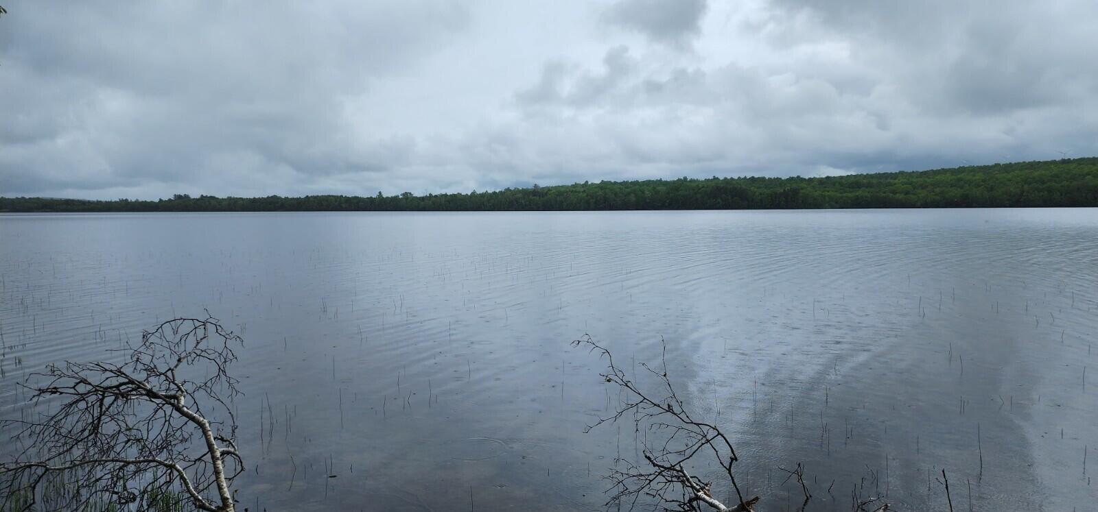 Lot 23 Black Point Road Danforth, ME 04424 - Photo 8 of 25 20230607_125957