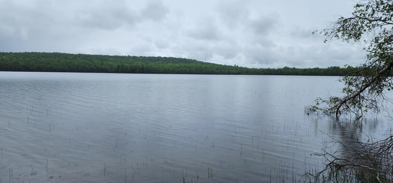 Lot 23 Black Point Road Danforth, ME 04424 - Photo 9 of 25 20230607_125959