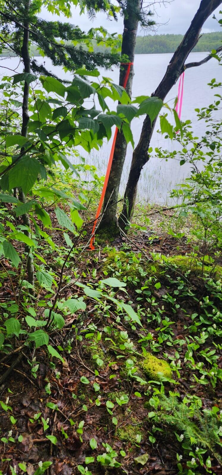 Lot 23 Black Point Road Danforth, ME 04424 - Photo 10 of 25 20230607_130031