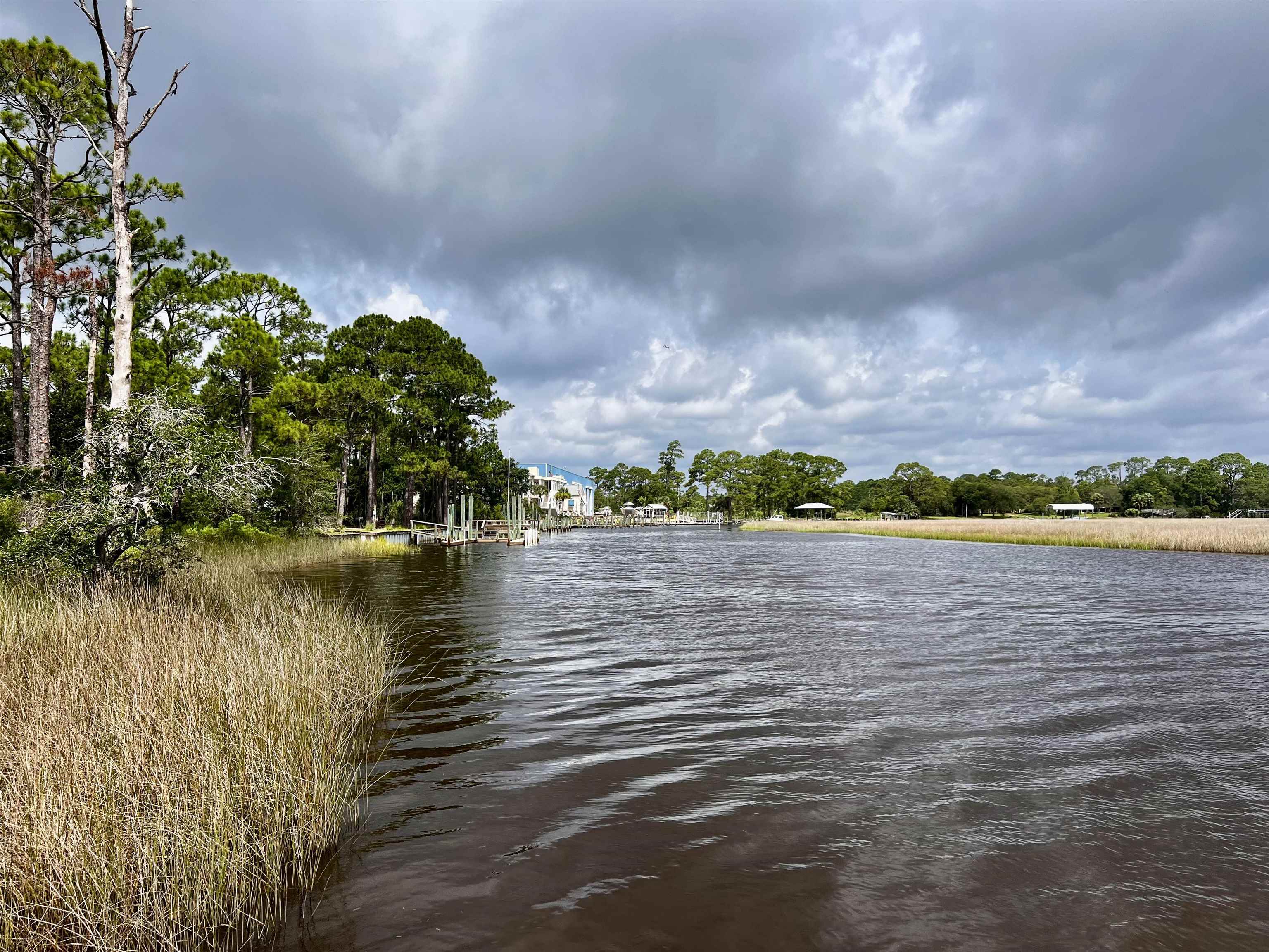 149 Timber Island Road Carrabelle, FL 32322 - Photo 3 of 10