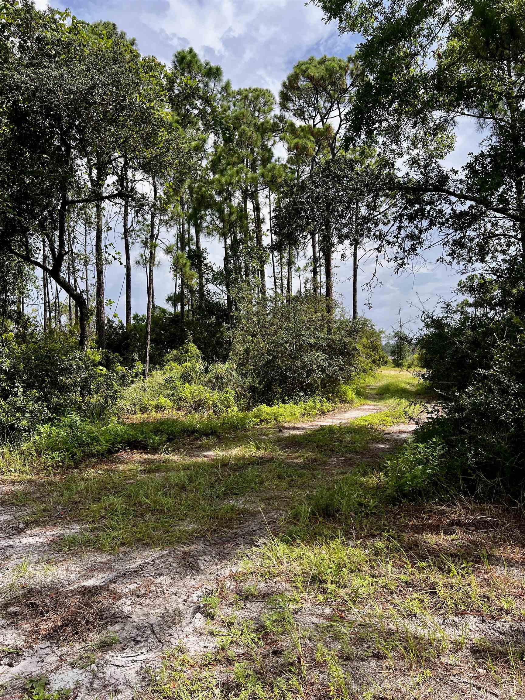 149 Timber Island Road Carrabelle, FL 32322 - Photo 6 of 10