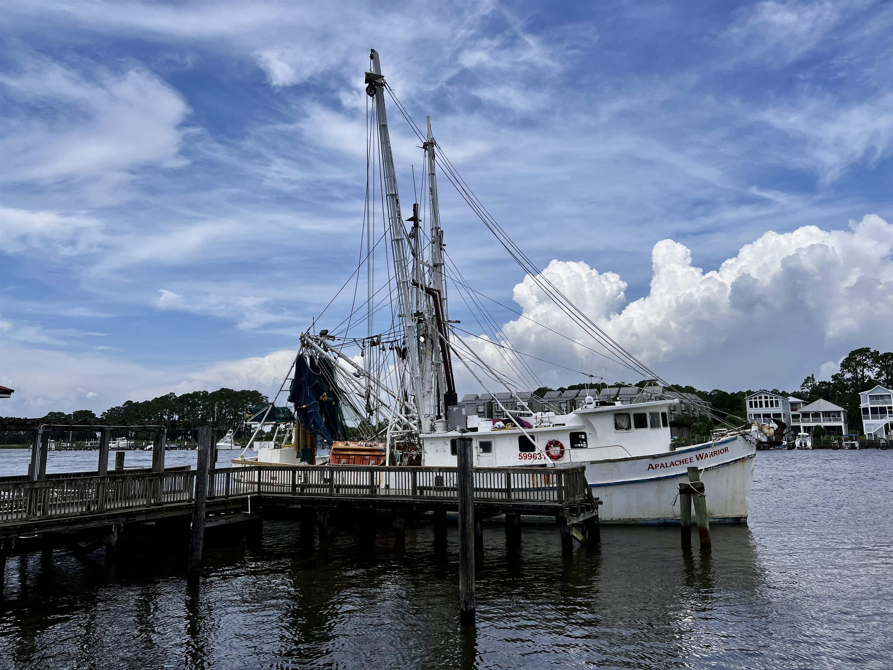 149 Timber Island Road Carrabelle, FL 32322 - Photo 8 of 10