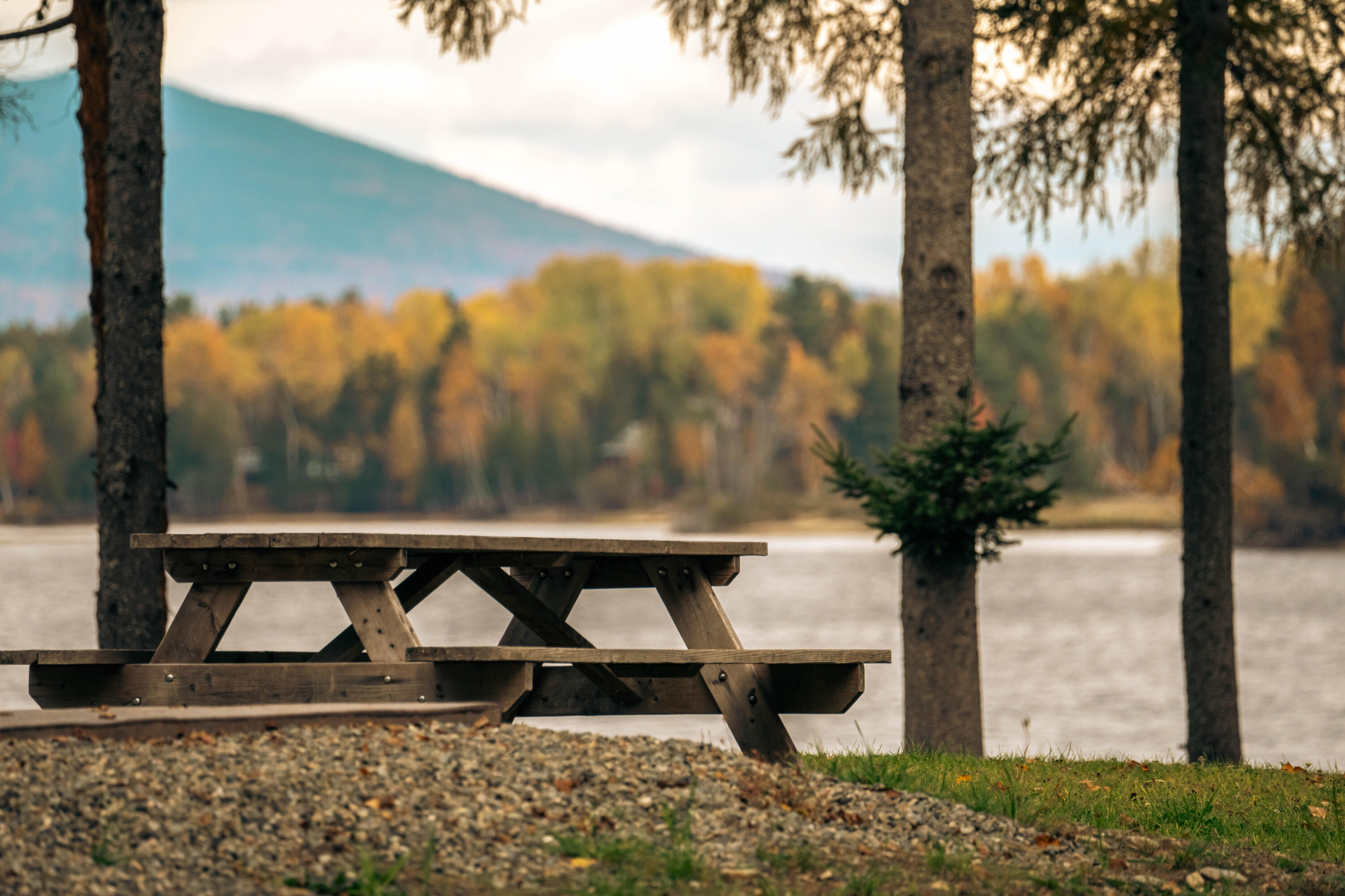 9 Tranquility Lane Eustis, ME 04982 - Photo 46 of 62 DSC08979