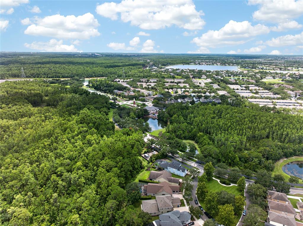 6587 Old Carriage Road Winter Garden, FL 34787 - Photo 48 of 85