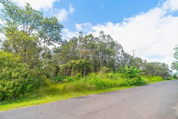 a view of a yard with a tree