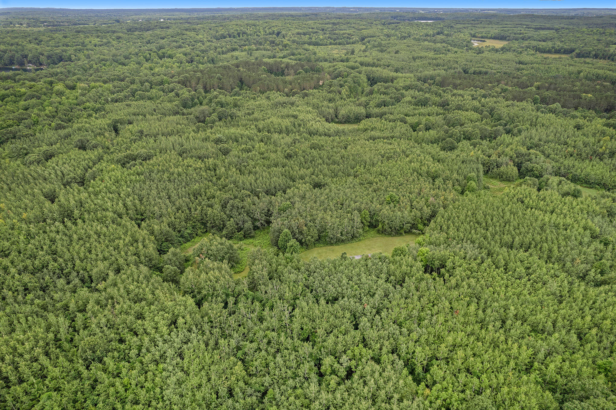 6696 North Larson Road Fountain, MI 49410 - Photo 5 of 18 wooded property