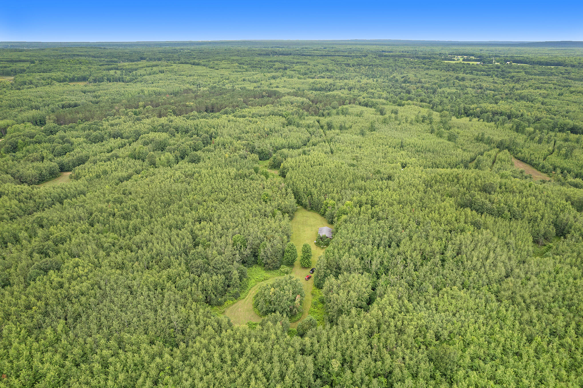 6696 North Larson Road Fountain, MI 49410 - Photo 7 of 18 wooded property