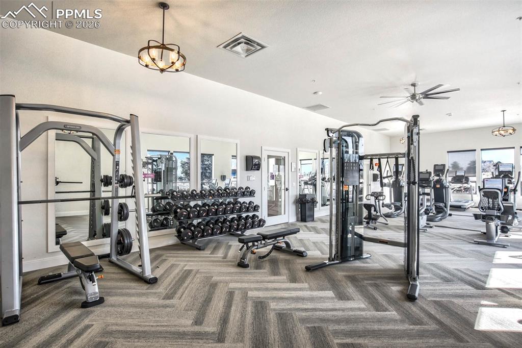 1265 Foothills Farm Way Colorado Springs, CO 80921 - Photo 47 of 50