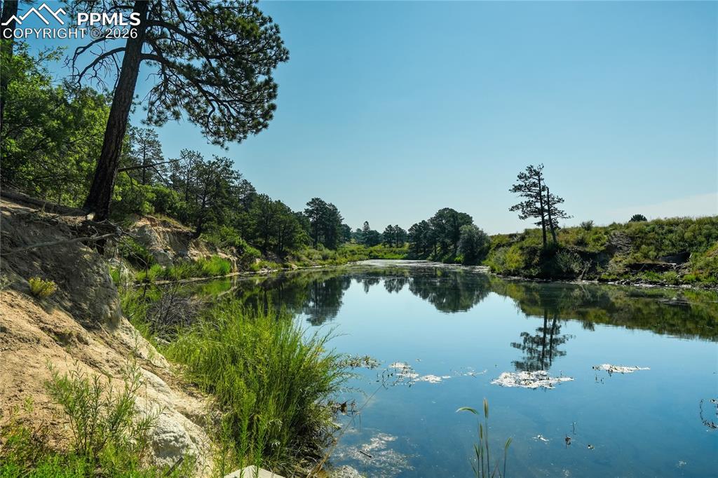 1265 Foothills Farm Way Colorado Springs, CO 80921 - Photo 48 of 50