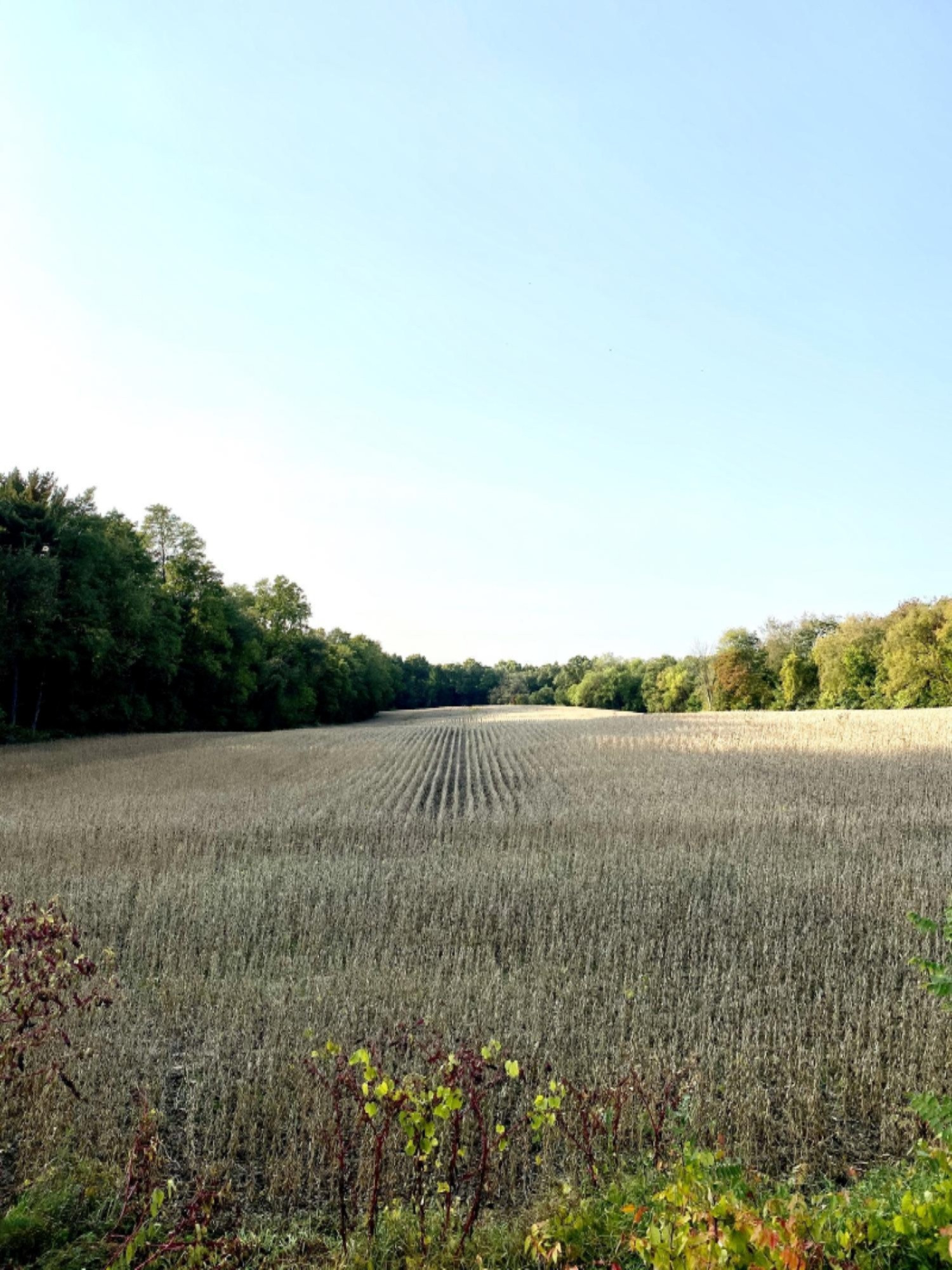 Bullhand Road Cassopolis, MI 49031 - Photo 1 of 5 BB0F7ACD-7B3B-44F5-9C85-EEBD8ED093B4