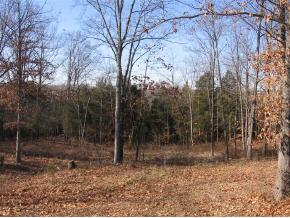 58 Level Road Dillsboro, IN 47011 - Photo 4 of 12